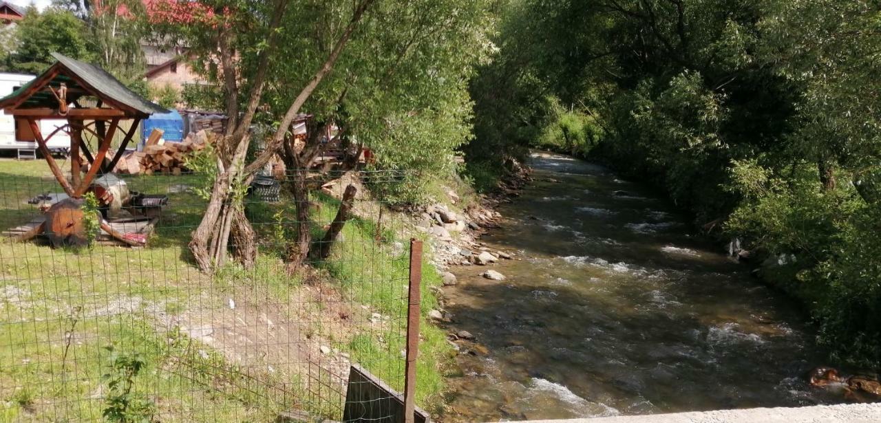 Traditia Borsanului Kültér fotó